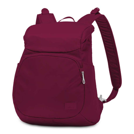 Pacsafe Citysafe CS300 anti-theft compact backpack