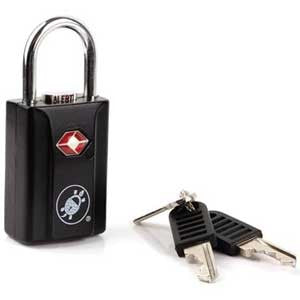 Pacsafe ProSafe 650 TSA approved padlock