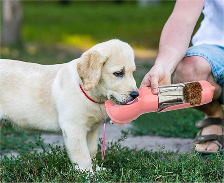3 in 1 Pet Feeder Bowl
