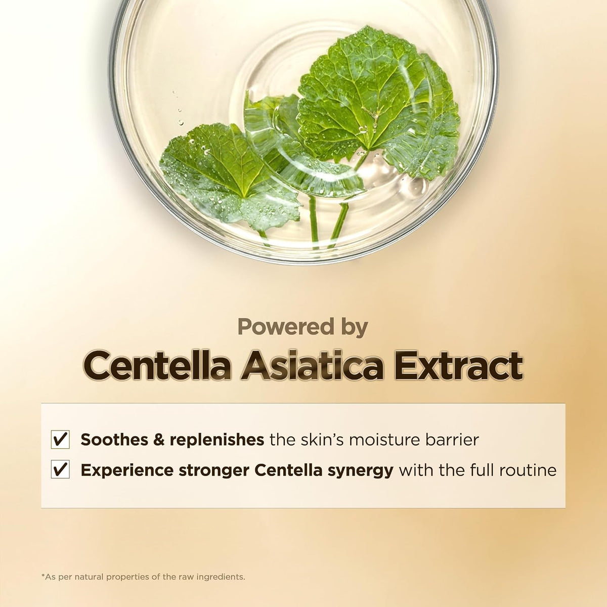 Madagascar Centella Poremizing Travel Kit