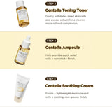 Madagascar Centella Poremizing Travel Kit