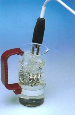 Korjo Water Boiler