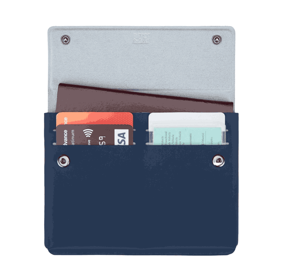 Pacsafe RFIDsafe TEC passport wallet