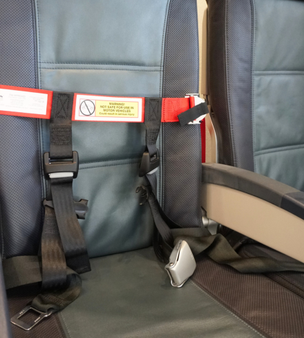 Cares safety restraint system online