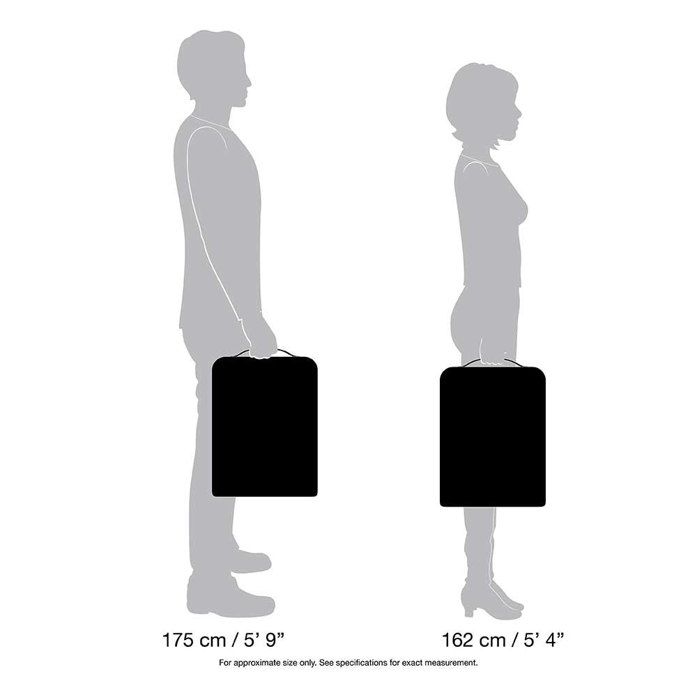 Pacsafe Camsafe PCI Protective Camera Insert Bag, LARGE