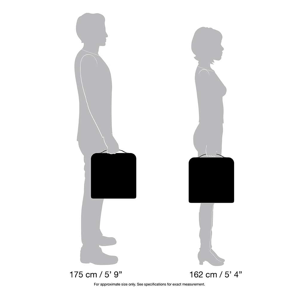 Pacsafe Camsafe PCI Protective Camera Insert Bag, MEDIUM