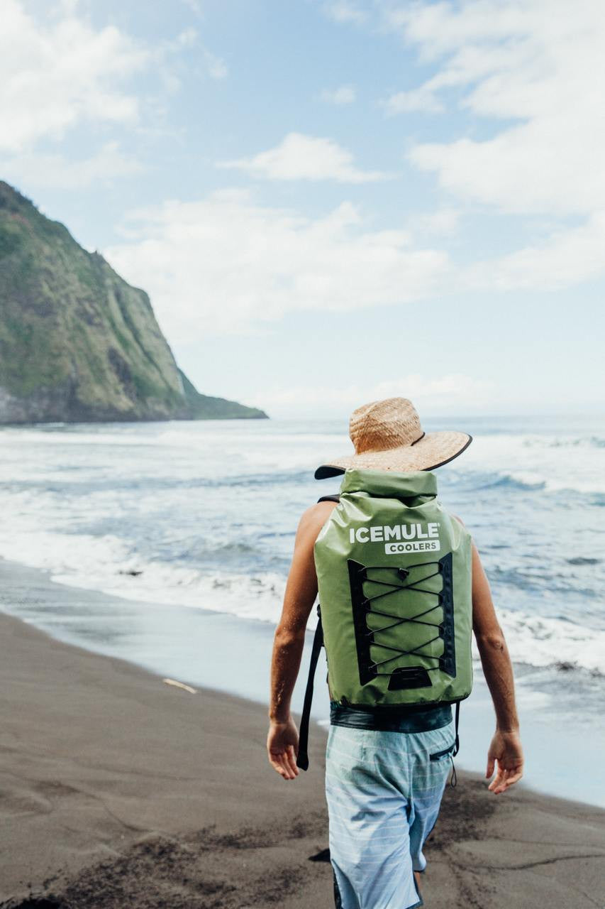 Icemule Pro Sea Green Insulated Travel Backpack Cooler TG