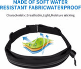 Waterproof Slim Money Waist Pouch